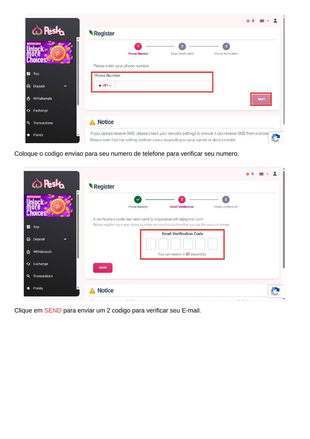 Manual Peska página 6